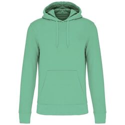 Sweat-shirt &agrave; capuche K4027 SAGE