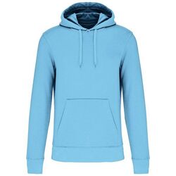 Sweat-shirt &agrave; capuche K4027 SKY BLUE