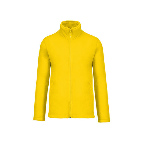 Veste polaire homme FALCO