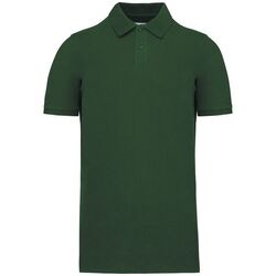 Polo Bio 180 K2025 Lons le Saunier