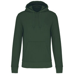 Sweat-shirt &agrave; capuche K4027 Lons le Saunier