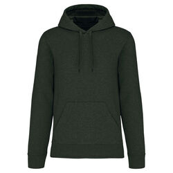 Sweat-shirt &agrave; capuche K4027 Lons le Saunier