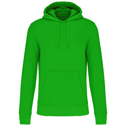 Sweat-shirt &agrave; capuche K4027 Lons le Saunier