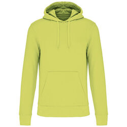 Sweat-shirt &agrave; capuche K4027 Lons le Saunier
