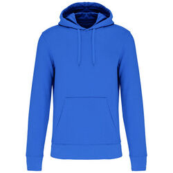 Sweat-shirt &agrave; capuche K4027 Lons le Saunier
