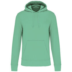 Sweat-shirt &agrave; capuche K4027 Lons le Saunier