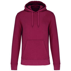 Sweat-shirt &agrave; capuche K4027 Lons le Saunier