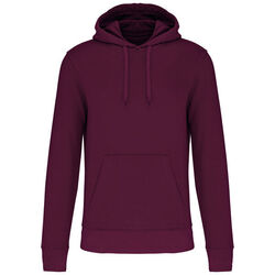 Sweat-shirt &agrave; capuche K4027 Lons le Saunier