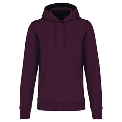 Sweat-shirt &agrave; capuche K4027 Lons le Saunier