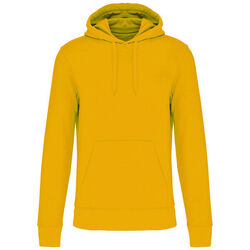 Sweat-shirt &agrave; capuche K4027 Lons le Saunier