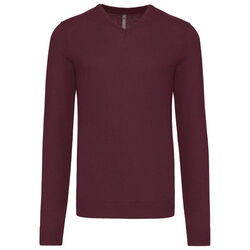 Pull homme V-NECK Lons le Saunier
