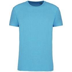 T-shirt Bio 150IC K3025ICC CLOUDY BLUE HEATHER