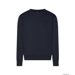 SWEAT-SHIRT FIBRE Lons le Saunier